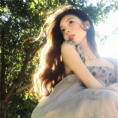 盗影谜情